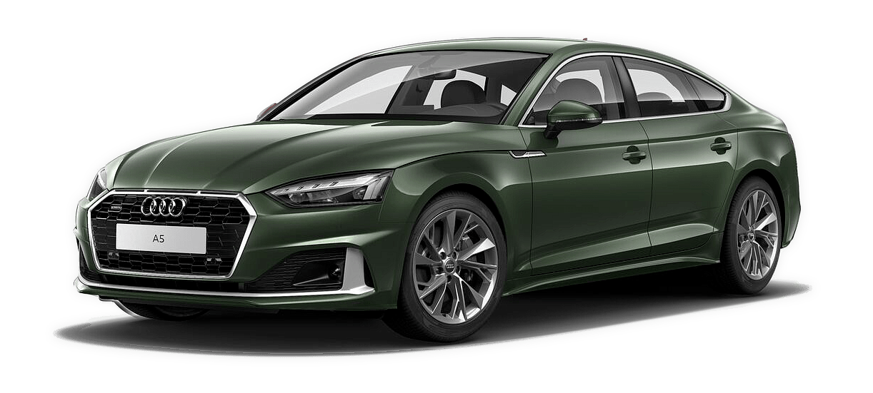 Audi_model